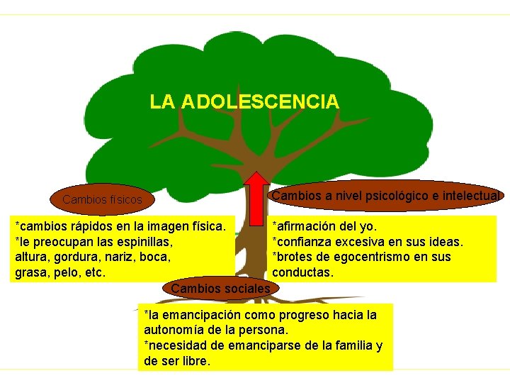 LA ADOLESCENCIA Cambios físicos Cambios a nivel psicológico e intelectual *cambios rápidos en la