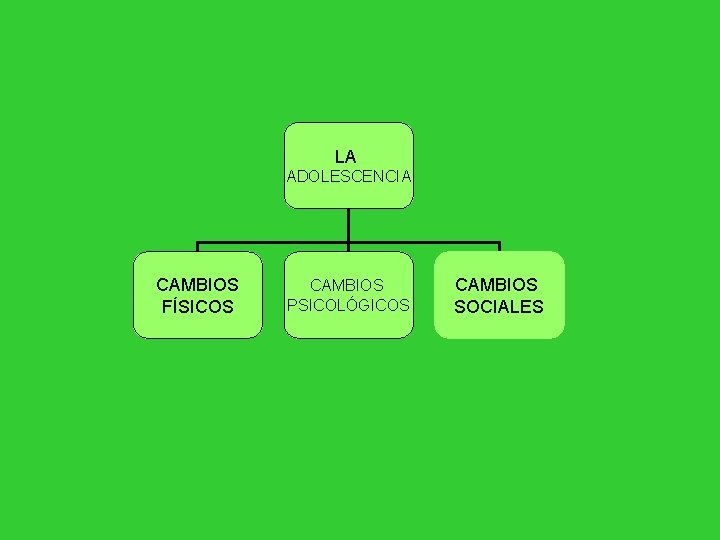 LA ADOLESCENCIA CAMBIOS FÍSICOS CAMBIOS PSICOLÓGICOS CAMBIOS SOCIALES 