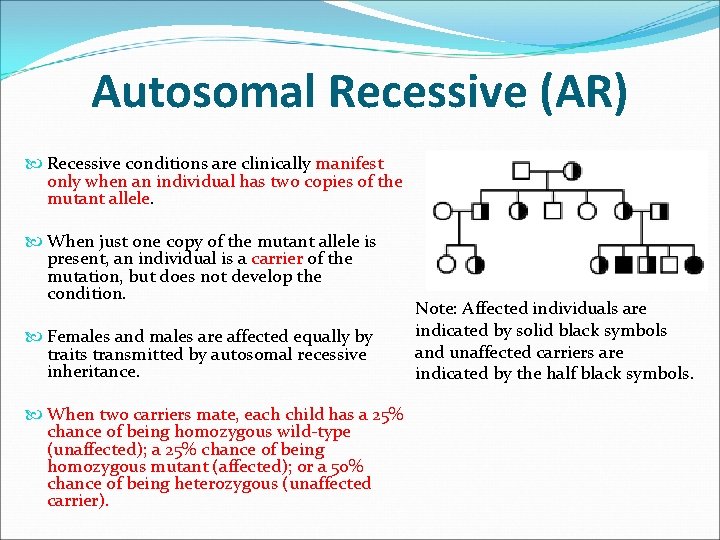 Autosomal Recessive (AR) Recessive conditions are clinically manifest only when an individual has two Autosomal Recessive (AR) Recessive conditions are clinically manifest only when an individual has two