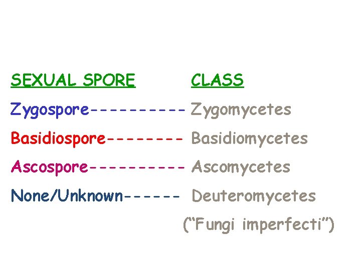 SEXUAL SPORE CLASS Zygospore----- Zygomycetes Basidiospore---- Basidiomycetes Ascospore----- Ascomycetes None/Unknown------ Deuteromycetes (“Fungi imperfecti”) 