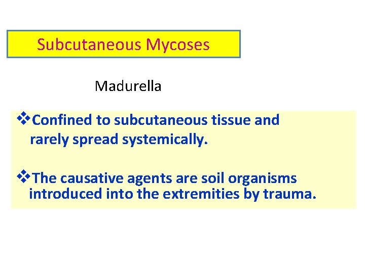 Subcutaneous Mycoses Madurella v. Confined to subcutaneous tissue and rarely spread systemically. v. The