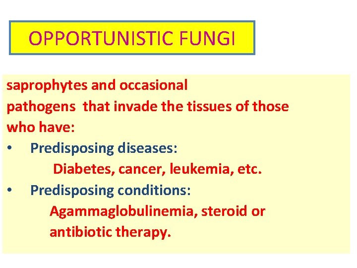 OPPORTUNISTIC FUNGI saprophytes and occasional pathogens that invade the tissues of those who have: