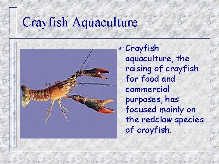 Crayfish Aquaculture F Crayfish aquaculture, the raising of crayfish for food and commercial purposes,