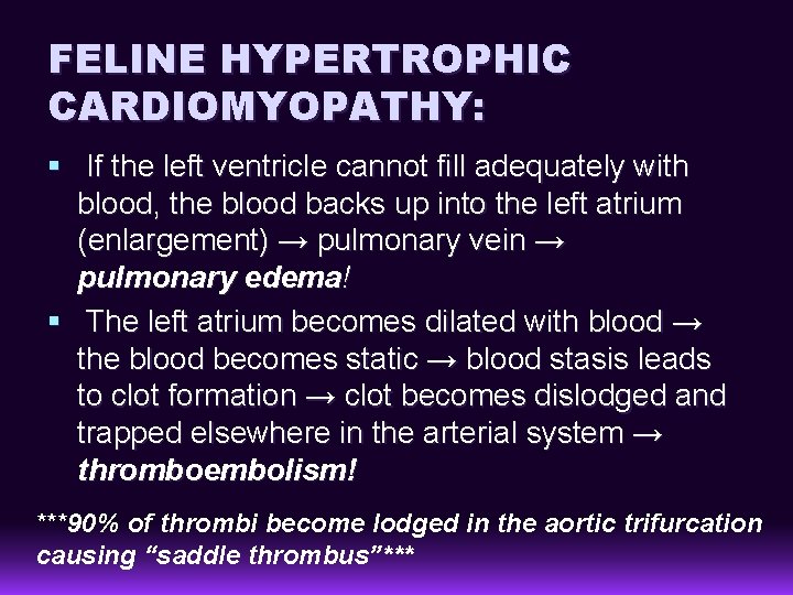 FELINE HYPERTROPHIC CARDIOMYOPATHY: § If the left ventricle cannot fill adequately with blood, the