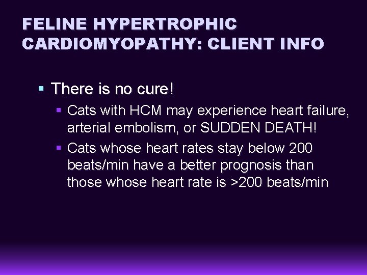 FELINE HYPERTROPHIC CARDIOMYOPATHY: CLIENT INFO § There is no cure! § Cats with HCM