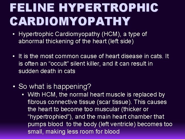 FELINE HYPERTROPHIC CARDIOMYOPATHY • Hypertrophic Cardiomyopathy (HCM), a type of abnormal thickening of the