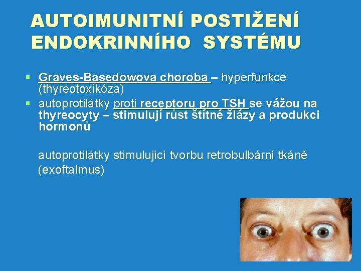 AUTOIMUNITNÍ POSTIŽENÍ ENDOKRINNÍHO SYSTÉMU § Graves-Basedowova choroba – hyperfunkce (thyreotoxikóza) § autoprotilátky proti receptoru