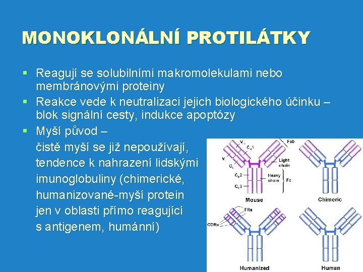 MONOKLONÁLNÍ PROTILÁTKY § Reagují se solubilními makromolekulami nebo membránovými proteiny § Reakce vede k