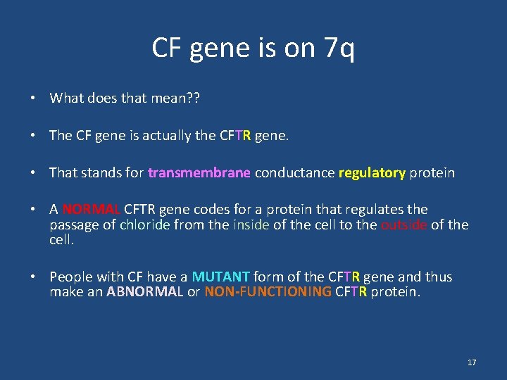 CF gene is on 7 q • What does that mean? ? • The