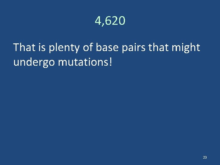4, 620 That is plenty of base pairs that might undergo mutations! 23 