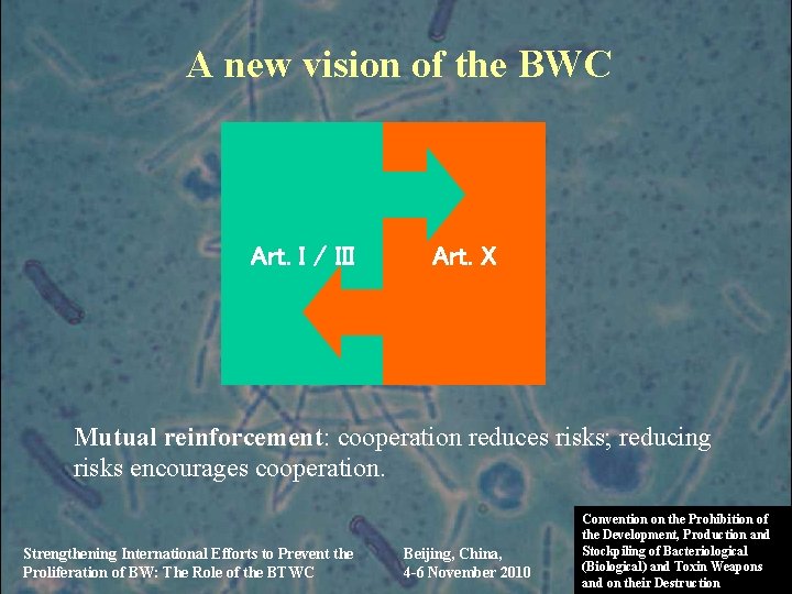 A new vision of the BWC Art. I / III Art. X Mutual reinforcement: