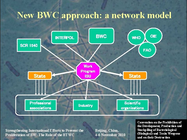 New BWC approach: a network model BWC INTERPOL OIE WHO SCR 1540 FAO State