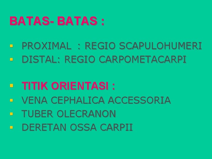 BATAS- BATAS : § PROXIMAL : REGIO SCAPULOHUMERI § DISTAL: REGIO CARPOMETACARPI § TITIK