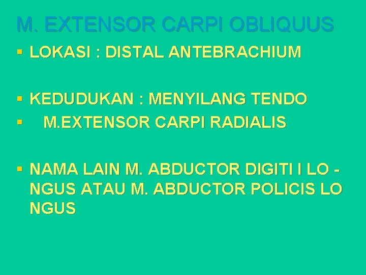 M. EXTENSOR CARPI OBLIQUUS § LOKASI : DISTAL ANTEBRACHIUM § KEDUDUKAN : MENYILANG TENDO