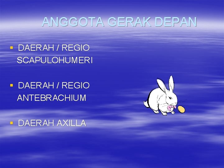 ANGGOTA GERAK DEPAN § DAERAH / REGIO SCAPULOHUMERI § DAERAH / REGIO ANTEBRACHIUM §