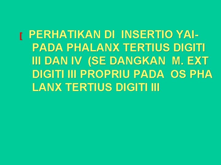 [ PERHATIKAN DI INSERTIO YAIPADA PHALANX TERTIUS DIGITI III DAN IV (SE DANGKAN M.