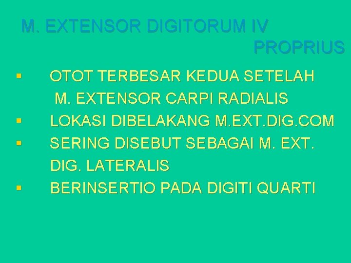 M. EXTENSOR DIGITORUM IV PROPRIUS § § OTOT TERBESAR KEDUA SETELAH M. EXTENSOR CARPI