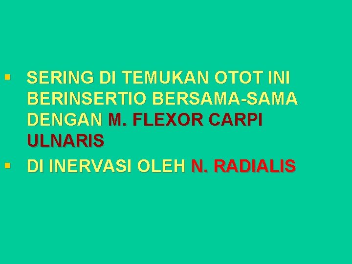 § SERING DI TEMUKAN OTOT INI BERINSERTIO BERSAMA-SAMA DENGAN M. FLEXOR CARPI ULNARIS §