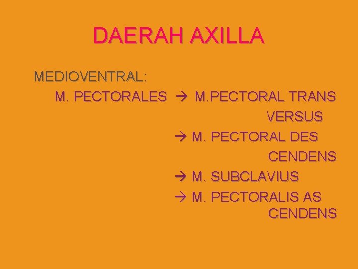 DAERAH AXILLA MEDIOVENTRAL: M. PECTORALES M. PECTORAL TRANS VERSUS M. PECTORAL DES CENDENS M.