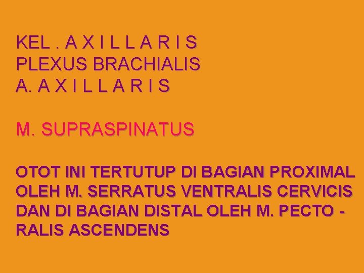 KEL. A X I L L A R I S PLEXUS BRACHIALIS A. A