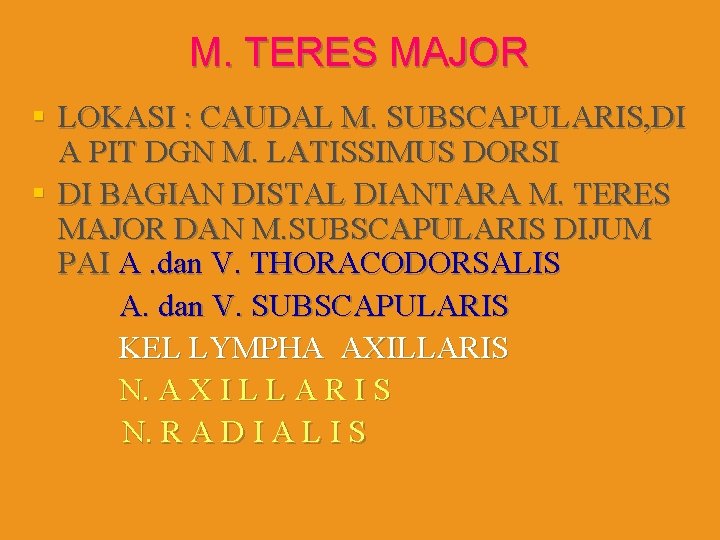 M. TERES MAJOR § LOKASI : CAUDAL M. SUBSCAPULARIS, DI A PIT DGN M.