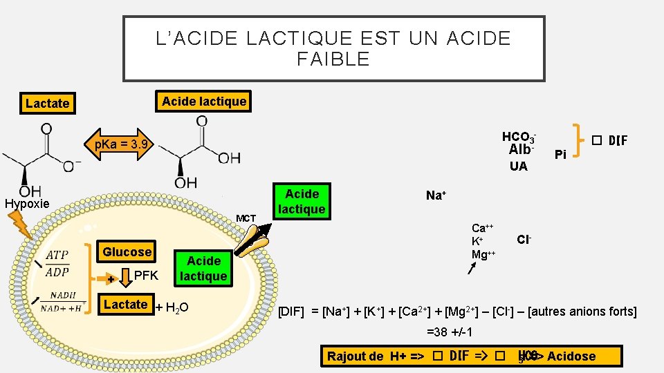 L’ACIDE LACTIQUE EST UN ACIDE FAIBLE Acide lactique Lactate HCO 3 - p. Ka