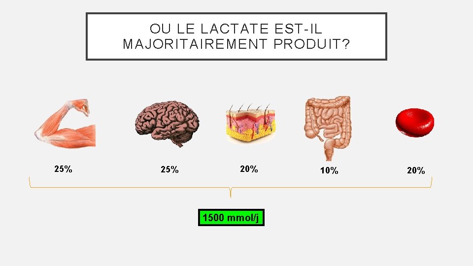 OU LE LACTATE EST-IL MAJORITAIREMENT PRODUIT? 25% 20% 1500 mmol/j 10% 20% 