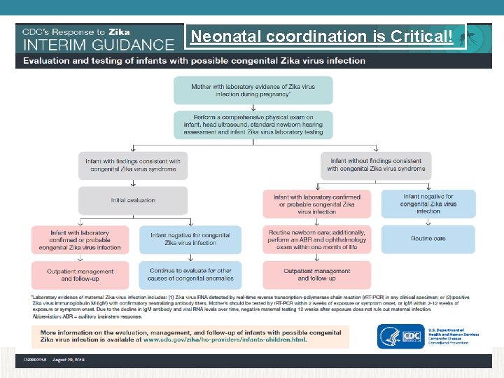 Neonatal coordination is Critical! 