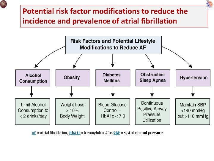 Potential risk factor modifications to reduce the incidence and prevalence of atrial fibrillation AF