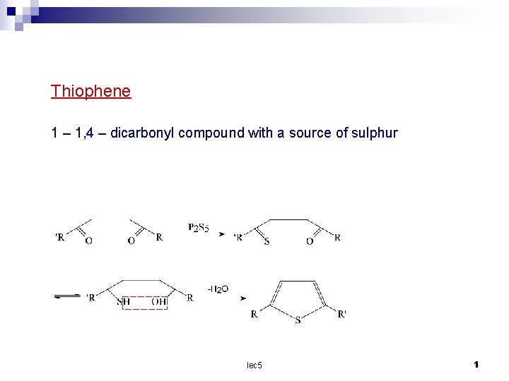 Thiophene 1 – 1, 4 – dicarbonyl compound with a source of sulphur lec