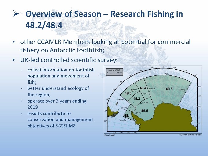 Ø Overview of Season – Research Fishing in 48. 2/48. 4 • other CCAMLR Ø Overview of Season – Research Fishing in 48. 2/48. 4 • other CCAMLR