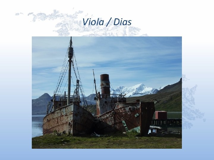 Viola / Dias Viola / Dias