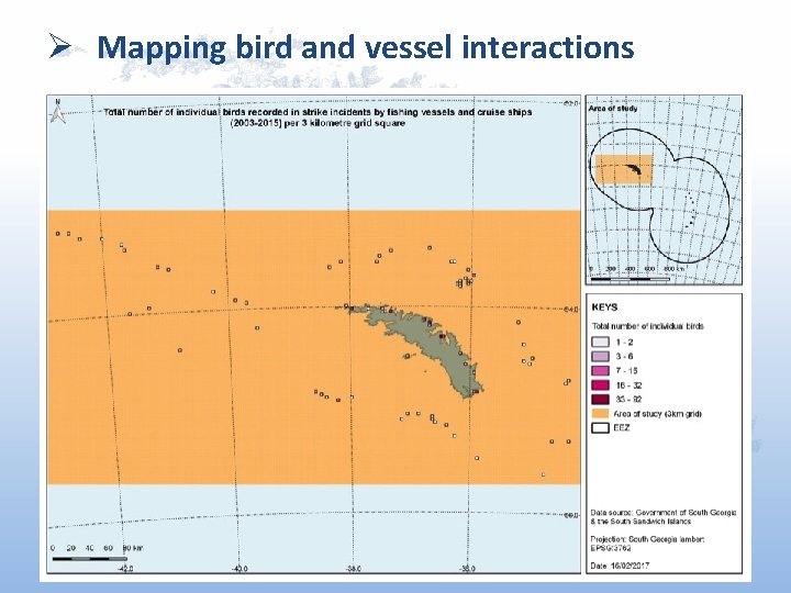 Ø Mapping bird and vessel interactions 