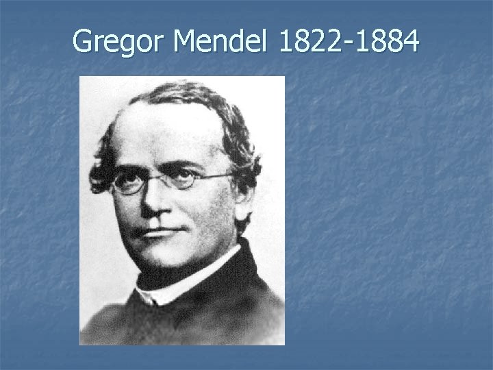 Gregor Mendel 1822 -1884 