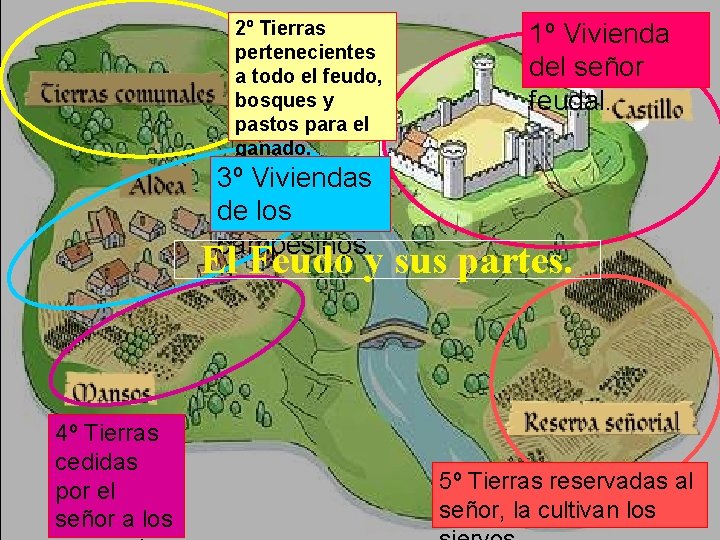 2º Tierras pertenecientes a todo el feudo, bosques y pastos para el ganado. 1º