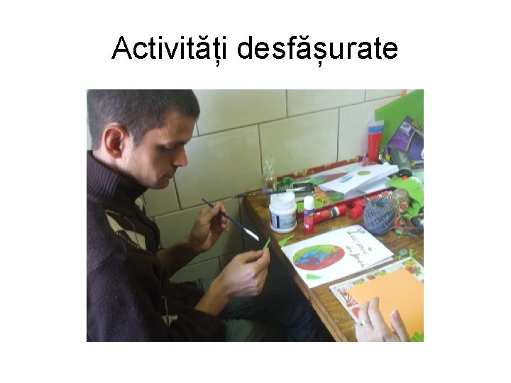 Activități desfășurate 