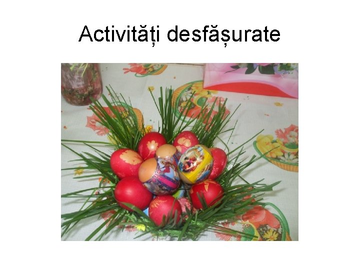 Activități desfășurate 