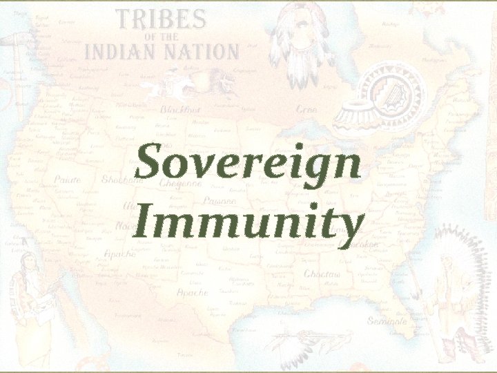 Sovereign Immunity 