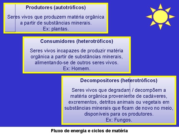 Produtores (autotróficos) Seres vivos que produzem matéria orgânica a partir de substâncias minerais. Ex: