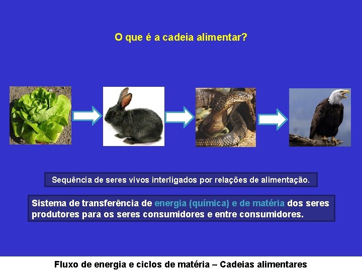 O que é a cadeia alimentar? Sequência de seres vivos interligados por relações de