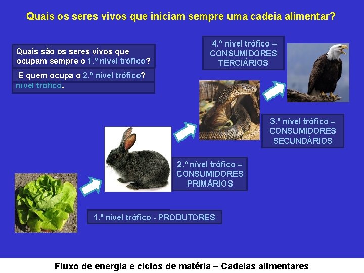 Quais os seres vivos que iniciam sempre uma cadeia alimentar? Quais são os seres
