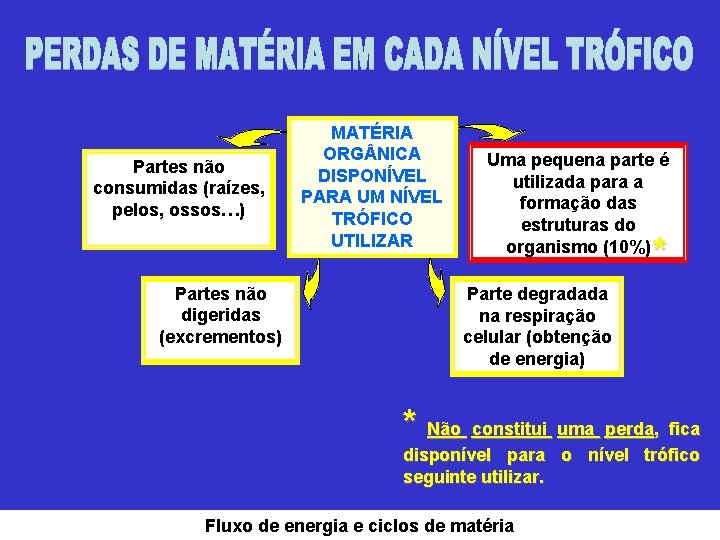 Partes não consumidas (raízes, pelos, ossos…) Partes não digeridas (excrementos) MATÉRIA ORG NICA DISPONÍVEL