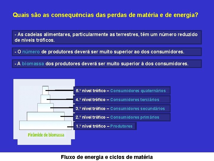 Quais são as consequências das perdas de matéria e de energia? - As cadeias