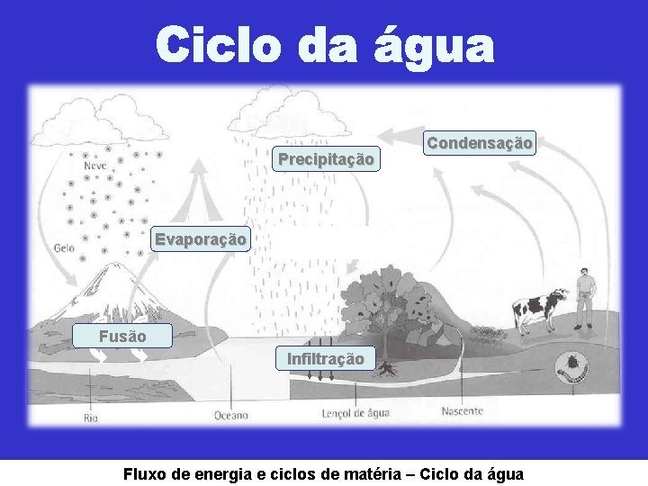 Precipitação Condensação Evaporação Fusão Infiltração Fluxo de energia e ciclos de matéria – Ciclo
