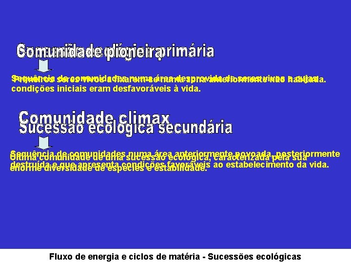 Sequência de comunidades numa área desprovida de seres vivos cujas Primeiros seres vivos a