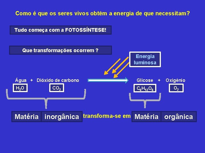 Como é que os seres vivos obtêm a energia de que necessitam? Tudo começa