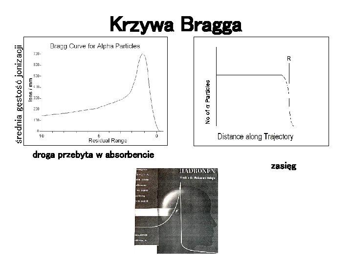 średnia gęstość jonizacji Krzywa Bragga droga przebyta w absorbencie zasięg 