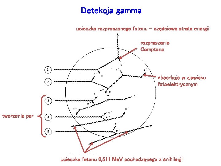 Detekcja gamma ucieczka rozproszonego fotonu – częściowa strata energii rozpraszanie Comptona absorbcja w zjawisku