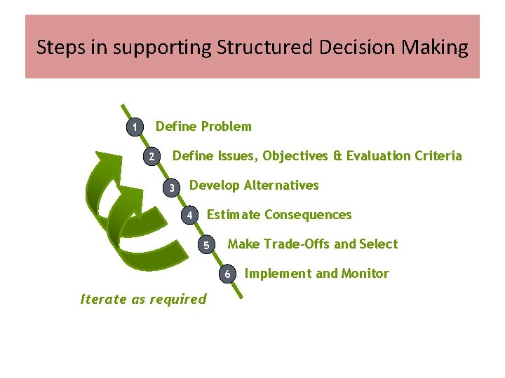 Steps in supporting Structured Decision Making Define Problem 1 2 Define Issues, Objectives &