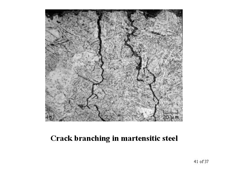 Crack branching in martensitic steel 41 of 37 